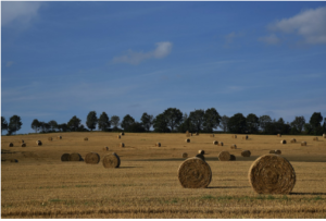 buy baling twine
