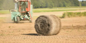 sisal baler twine