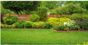 Guaranteed Garden Services garden maintenance